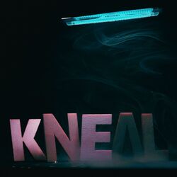 Cover of We Are Kneal