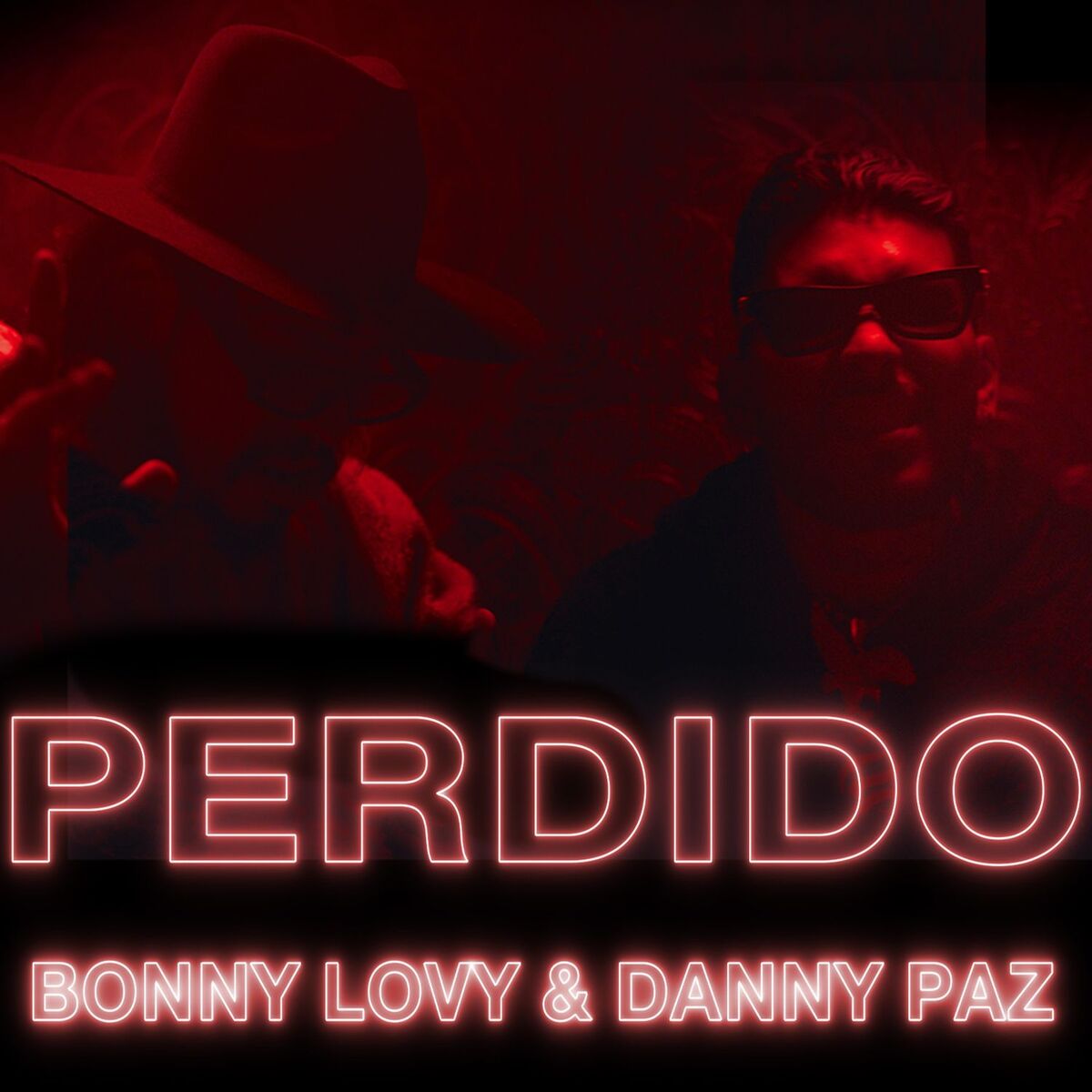 Album cover of Perdido