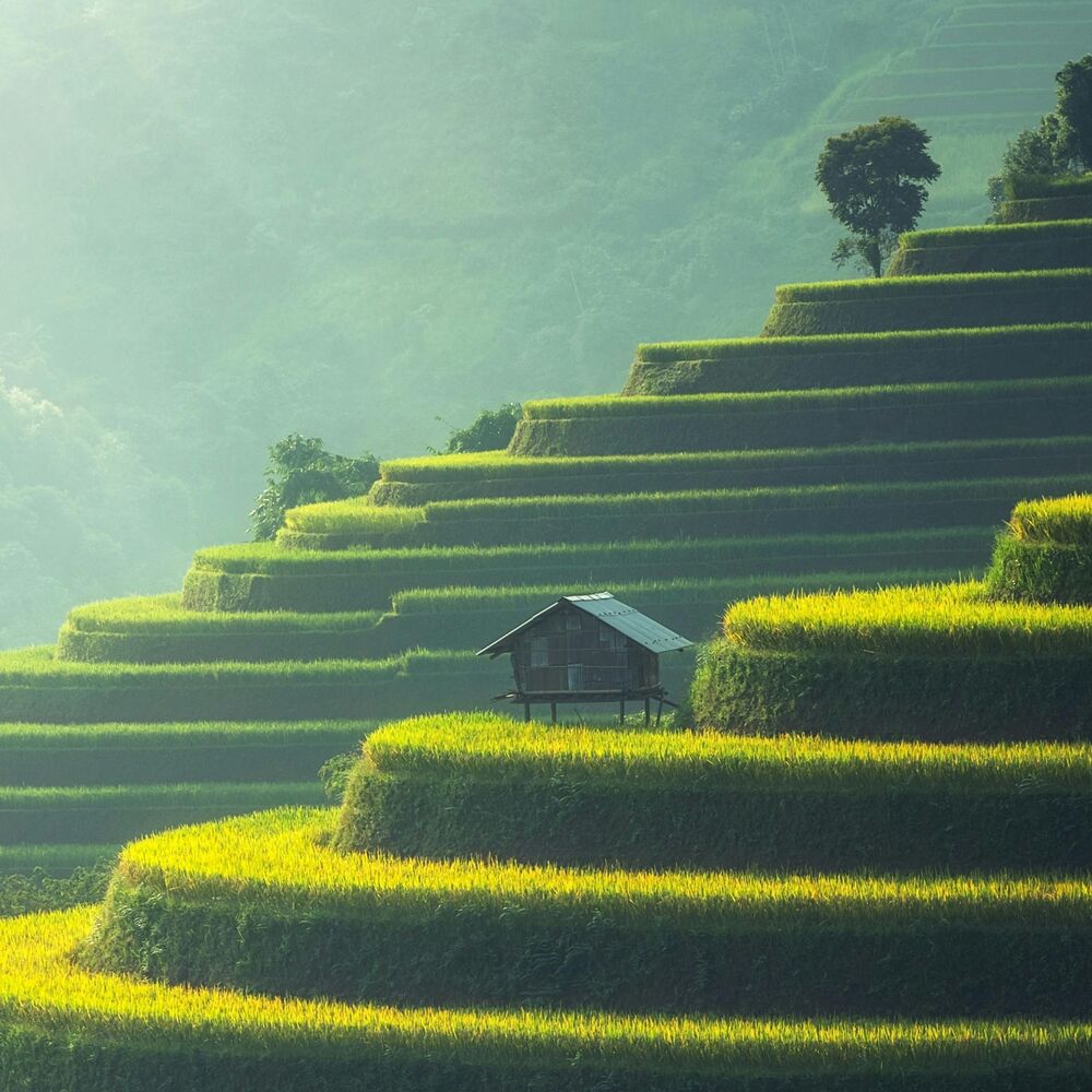 Picture of Paisagem