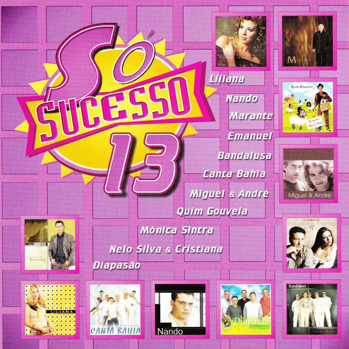 Album cover of Só Sucesso 13
