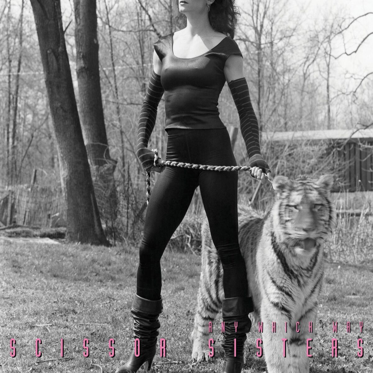 Album cover of Any Which Way