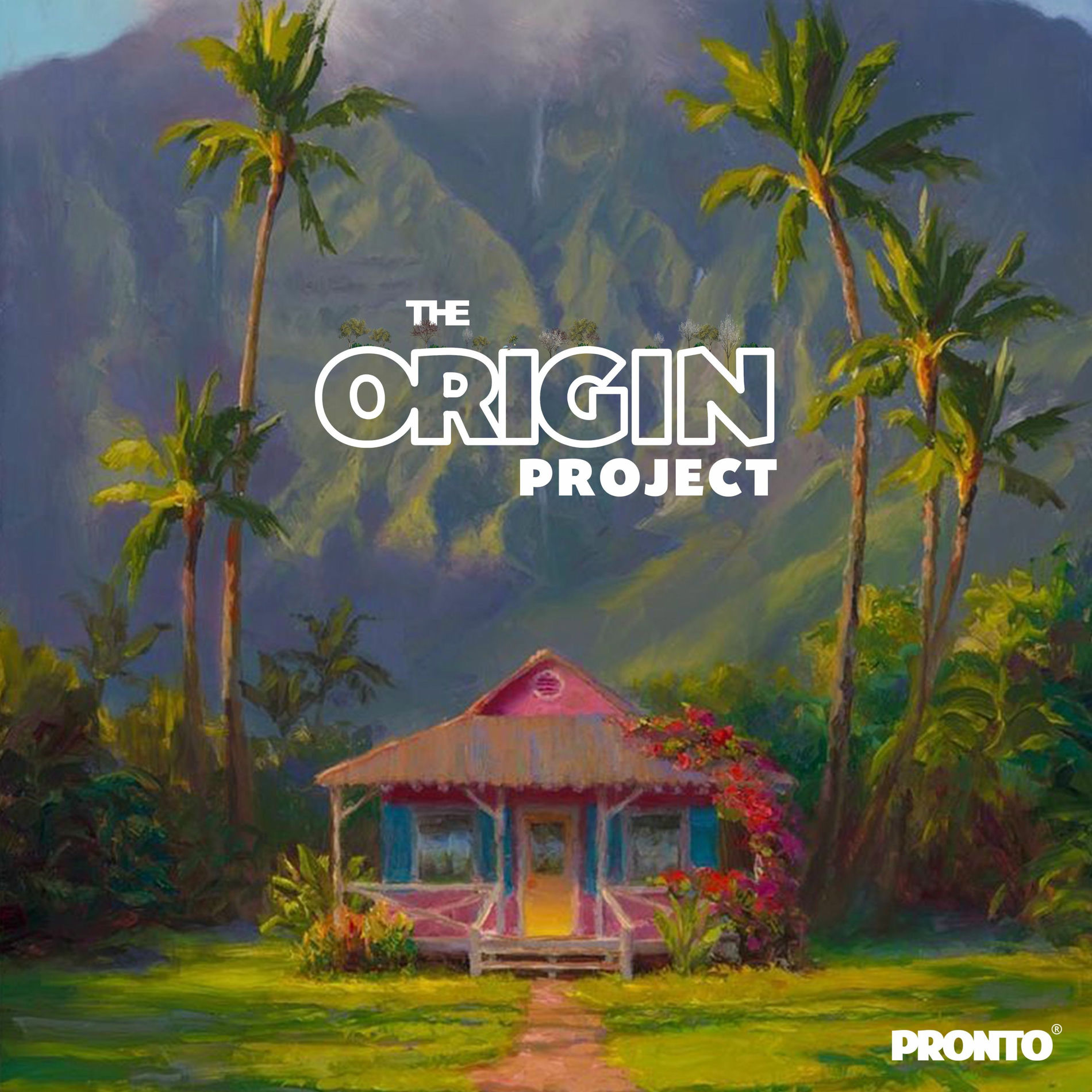 Album cover of The Origin Project