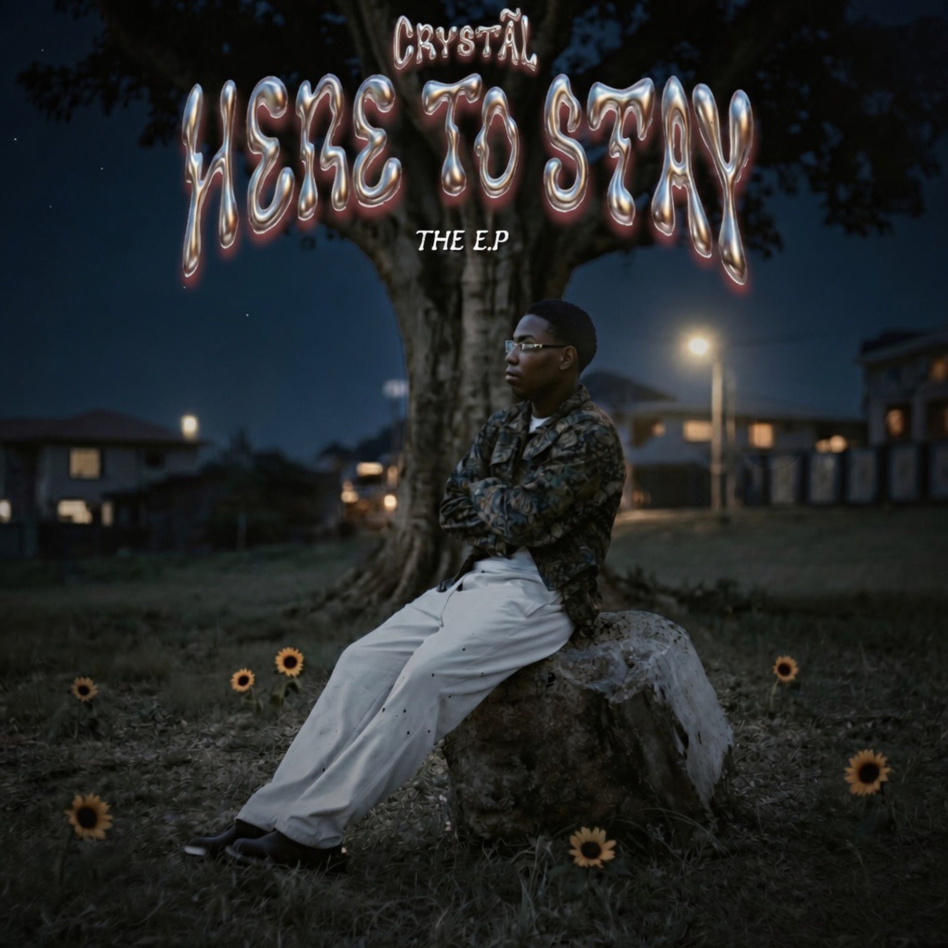Album cover of Here To Stay