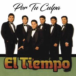 Cover of Por Tu Culpa