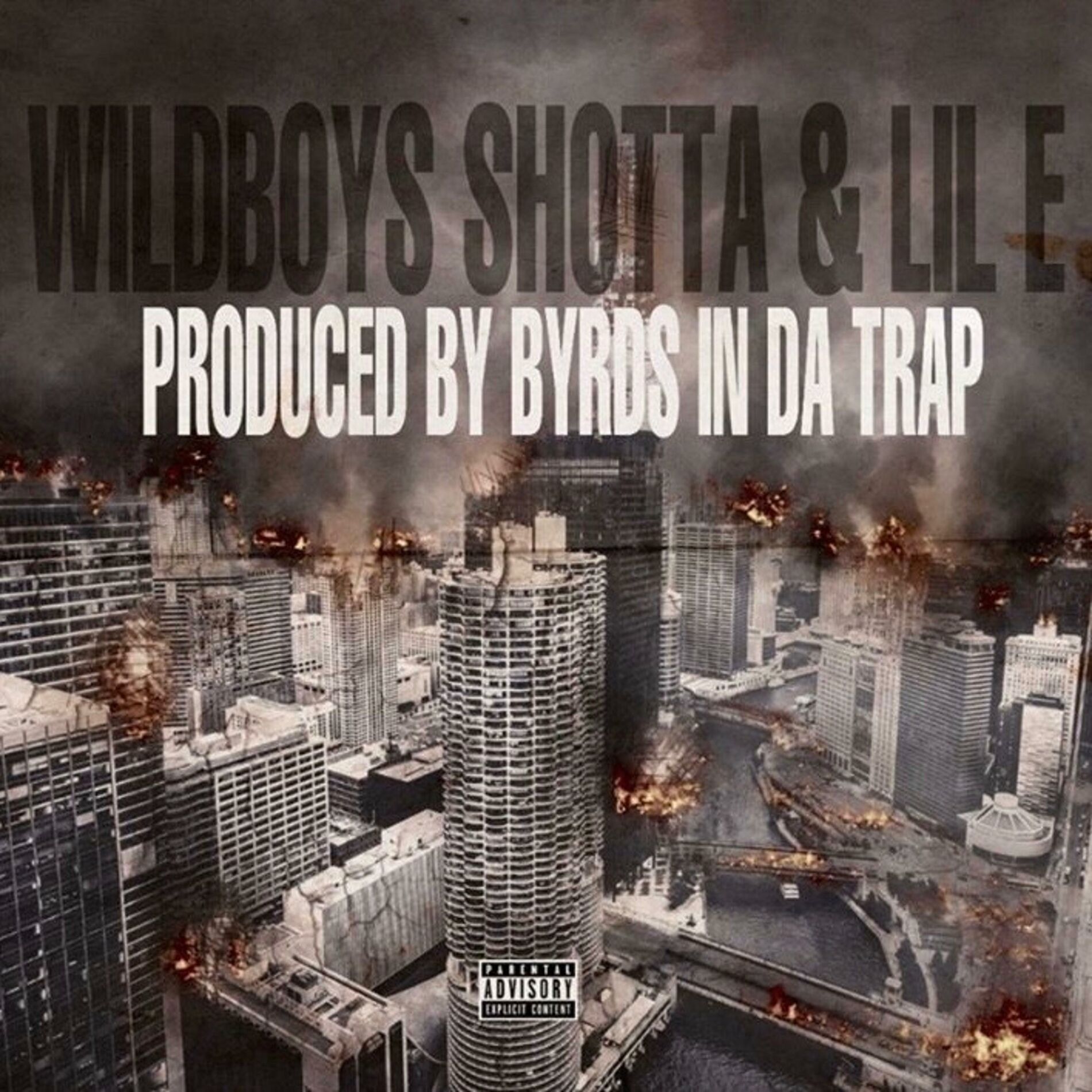 Album cover of Wildboys