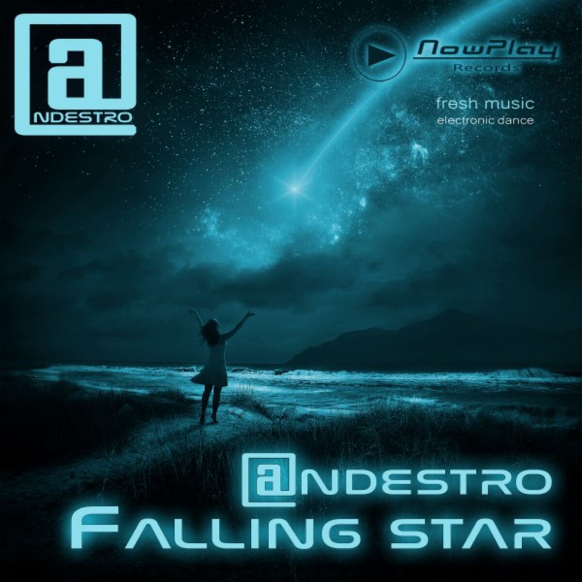 Album cover of Falling Star