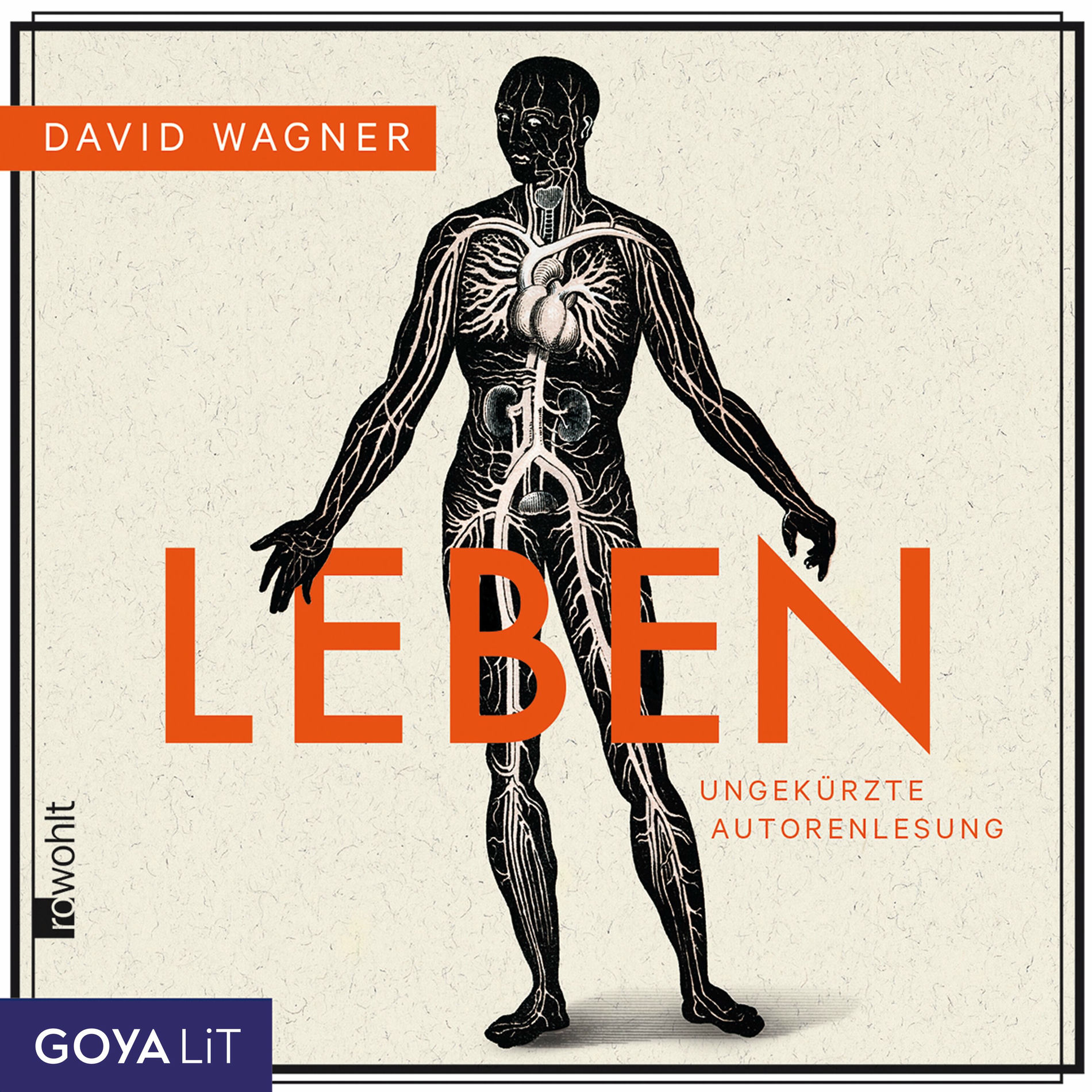 Album cover of Kapitel 01 - Leben