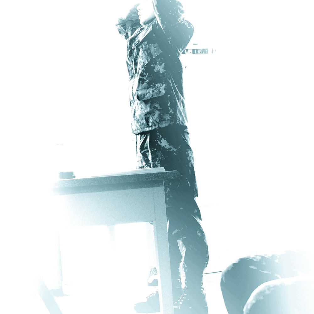 The Soldiers (2014) cover