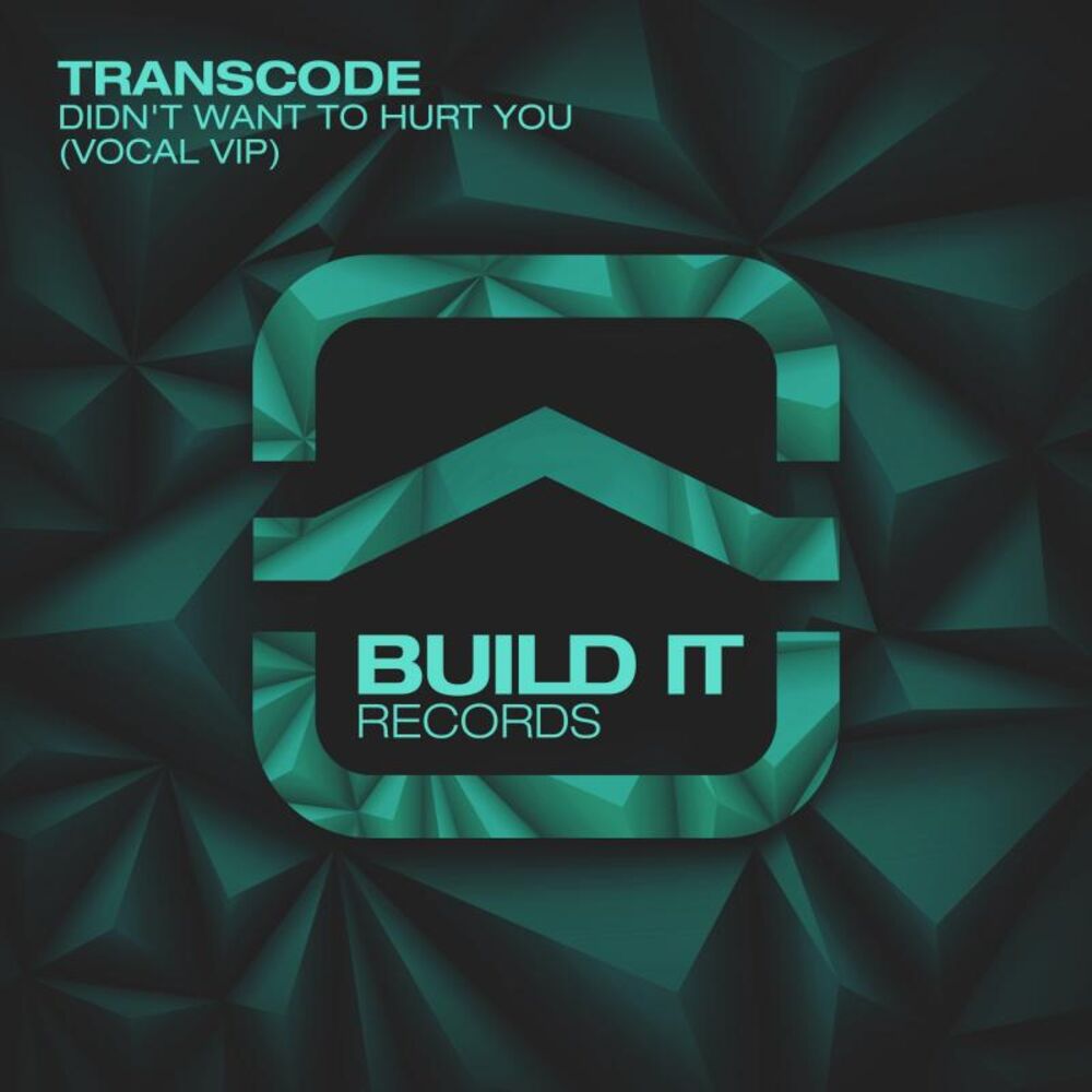 Picture of Didn't Want To Hurt You (Vocal VIP)