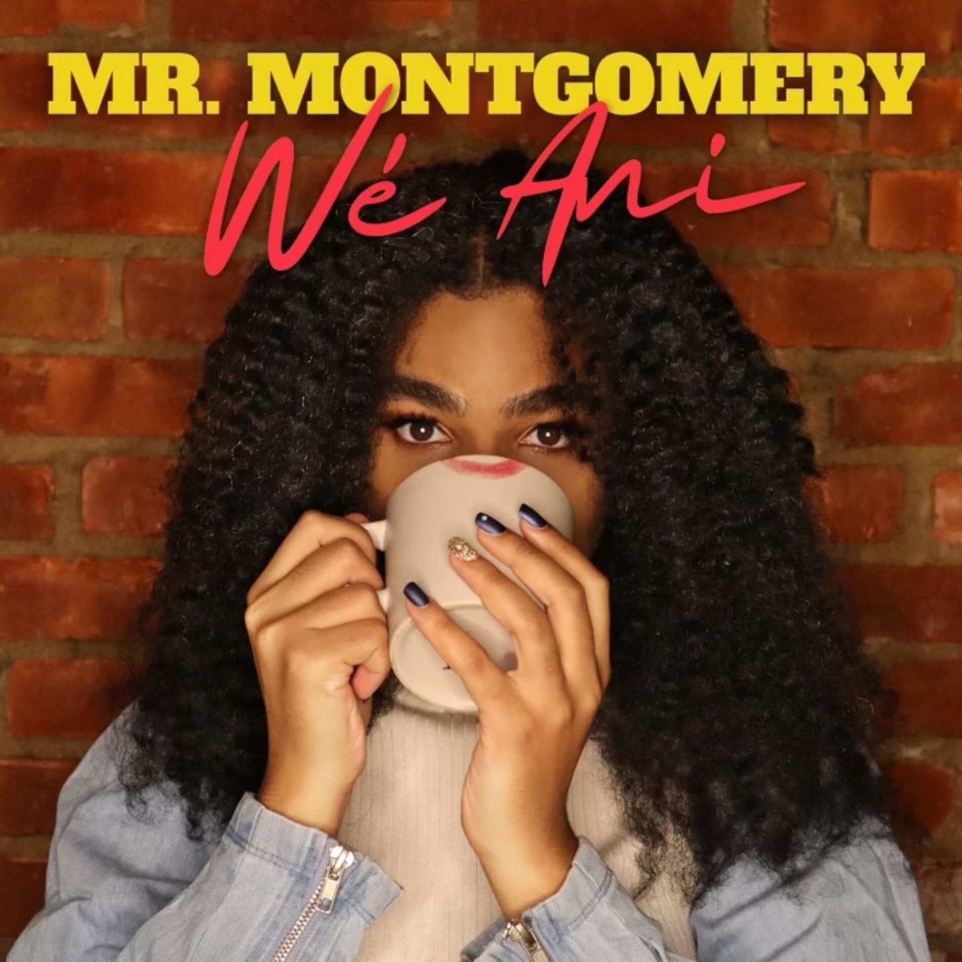 Album cover of MR. MONTGOMERY