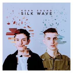 Cover of Silk Wave