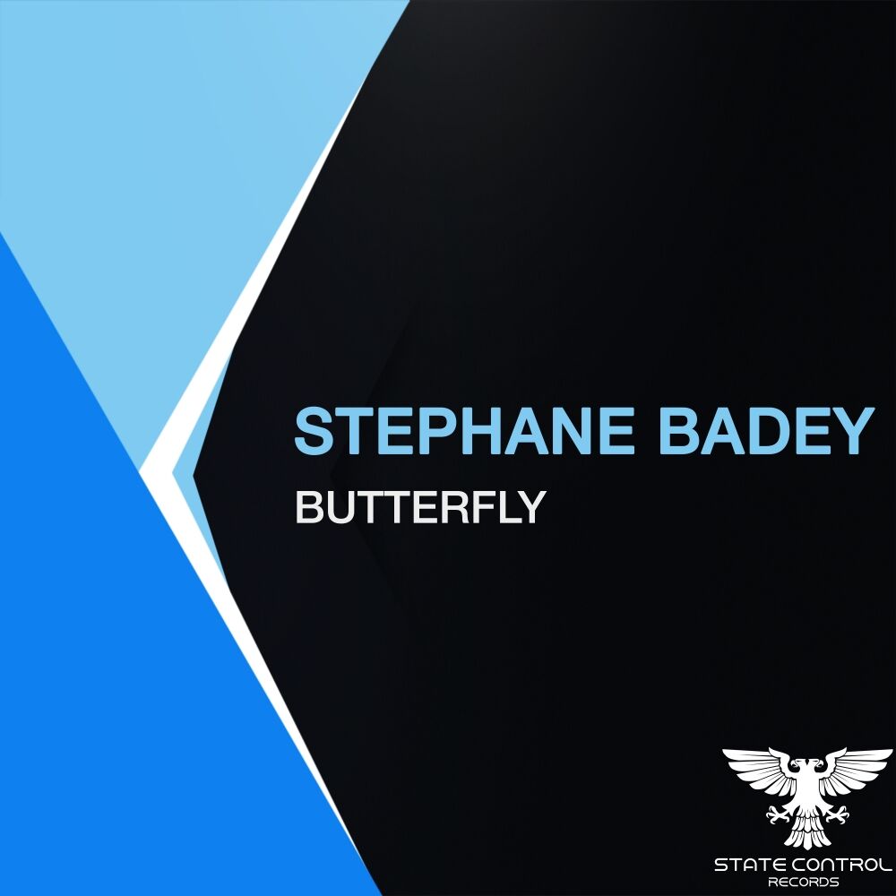 Picture of Butterfly
