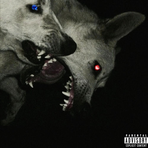 COLDBOYZ