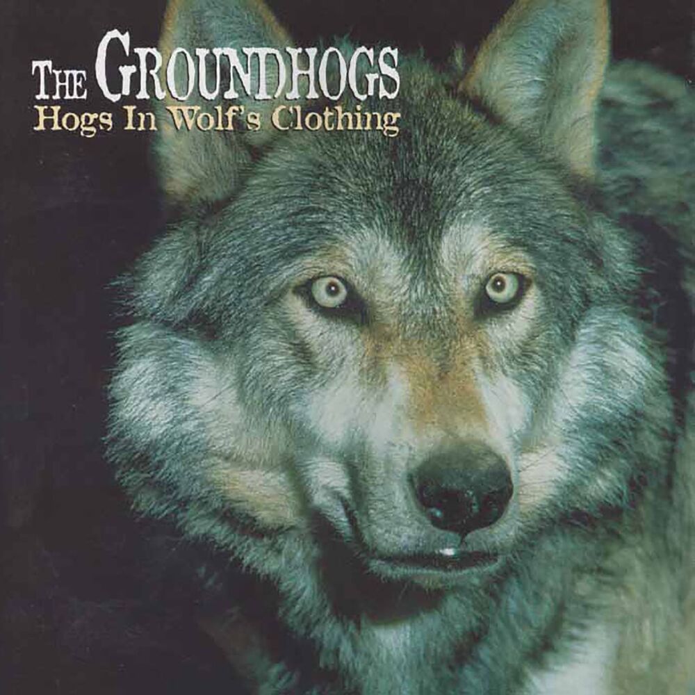 Picture of Hogs in Wolf's Clothing