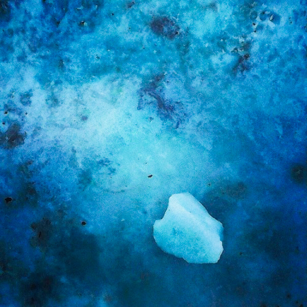 Picture of Blue Blood