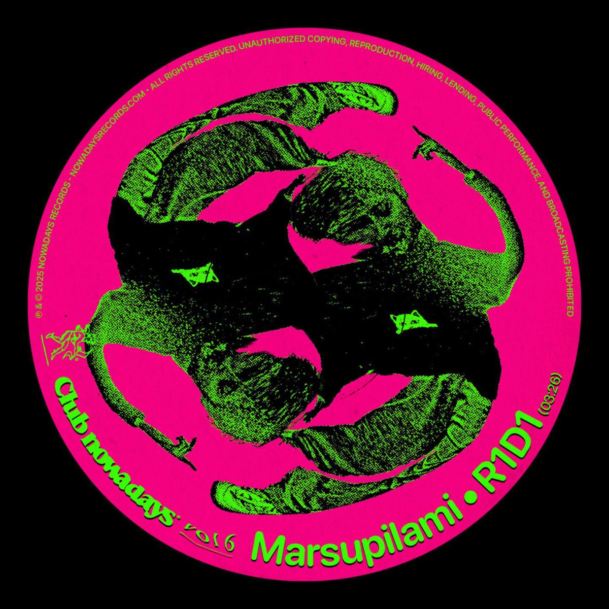 Album cover of Marsupilami