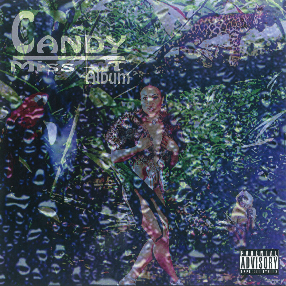 Picture of Miss T Album