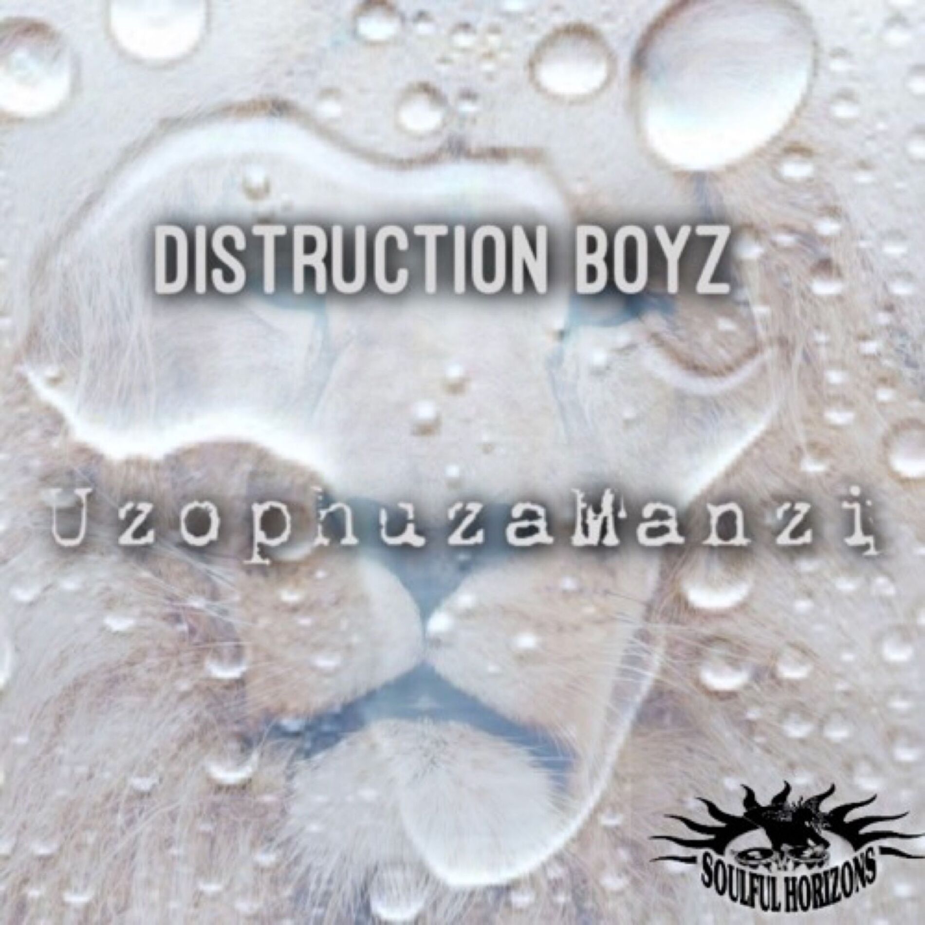 Album cover of Uzophuza Amanzi