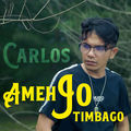 Ameh Jo Timbago