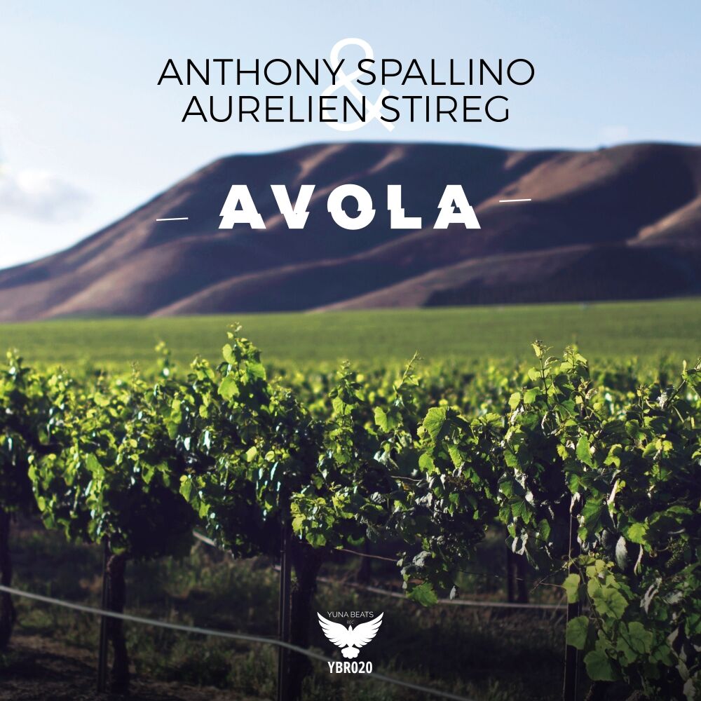 Picture of Avola