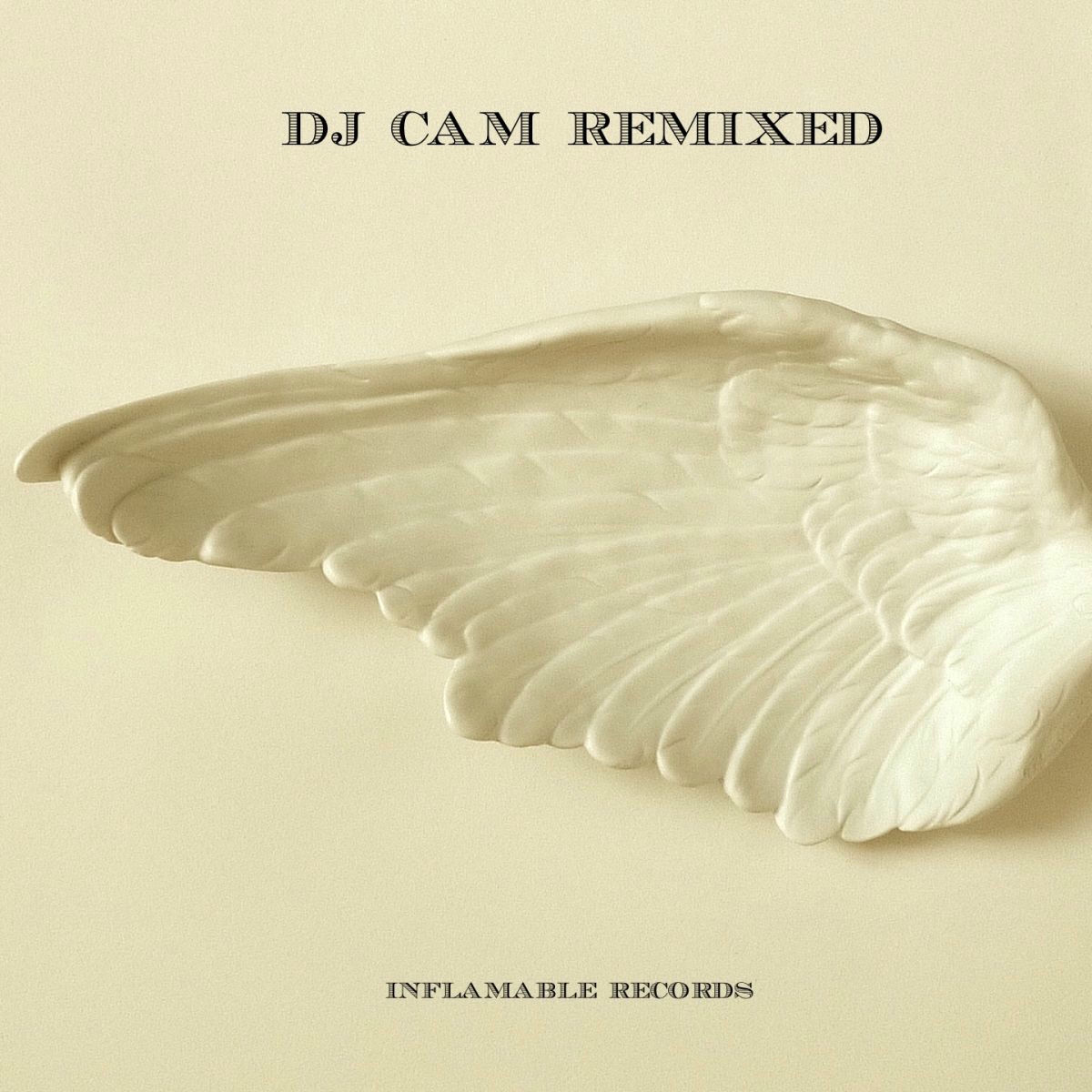Album cover of Remixed