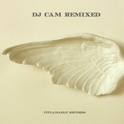 Cover of Remixed
