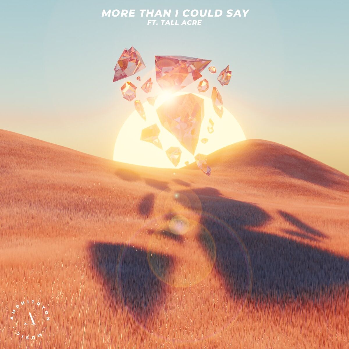 Album cover of More Than I Could Say