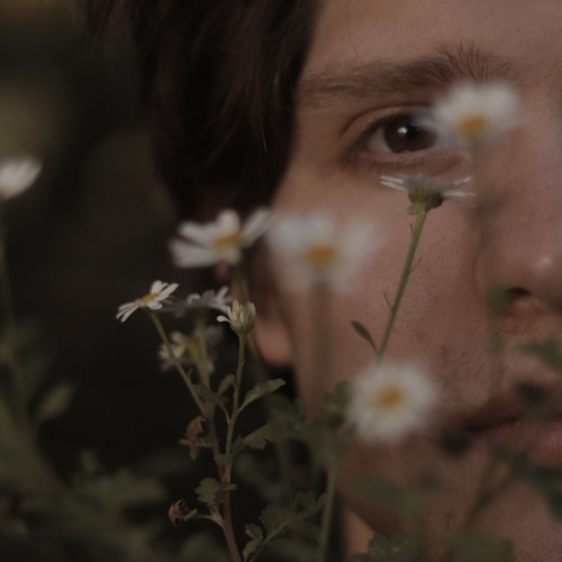Album cover of Las Flores (Acústica)