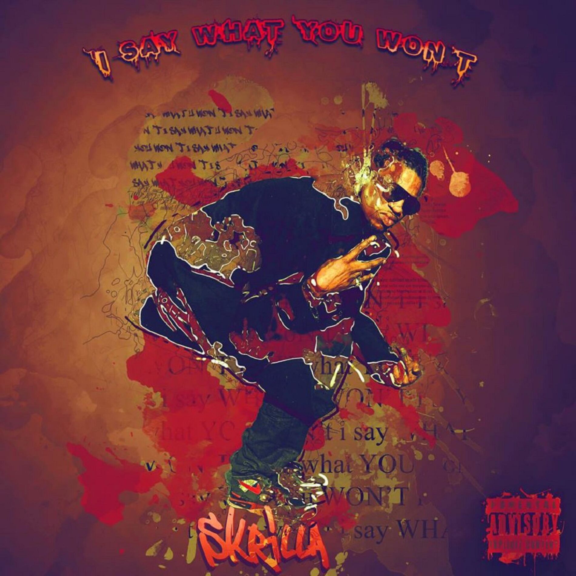 Album cover of I Say What You Wont