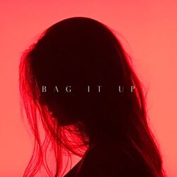 Cover of BAG IT UP