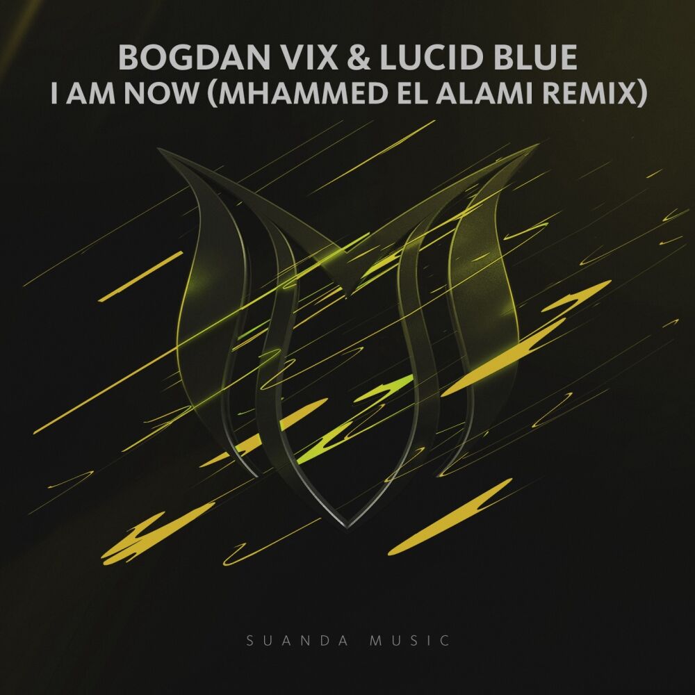 Picture of I Am Now (Mhammed El Alami Remix)