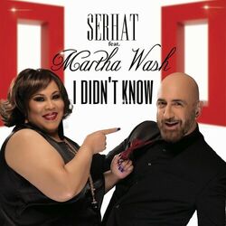 Cover of I Didn't Know