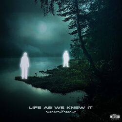 Cover of Life As We Knew It