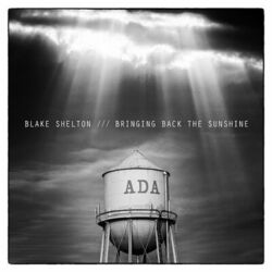 Cover of BRINGING BACK THE SUNSHINE