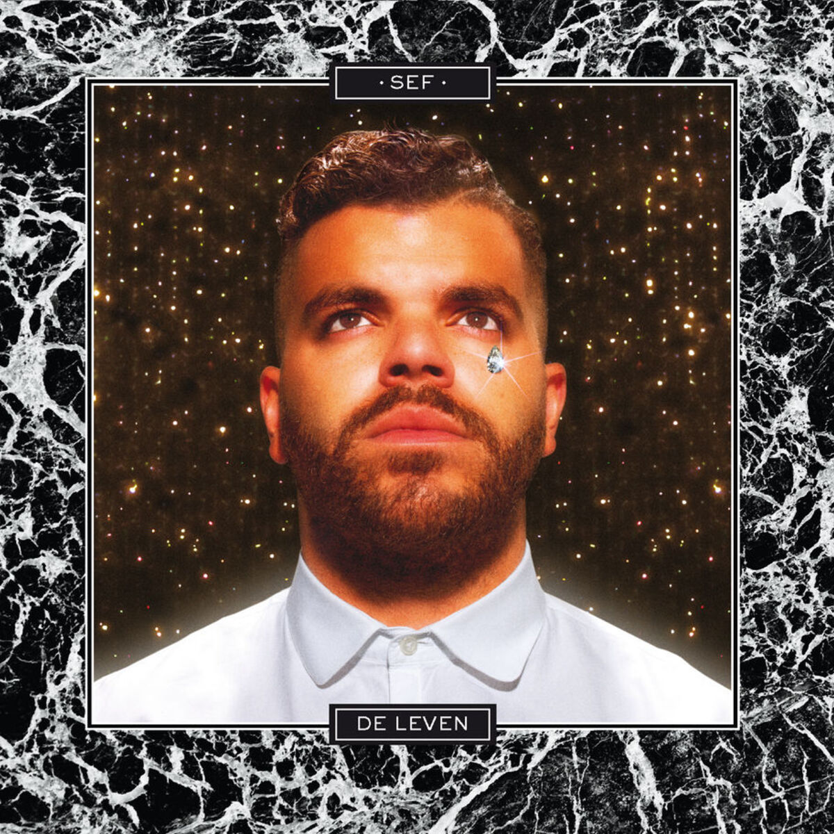 Album cover of De Leven