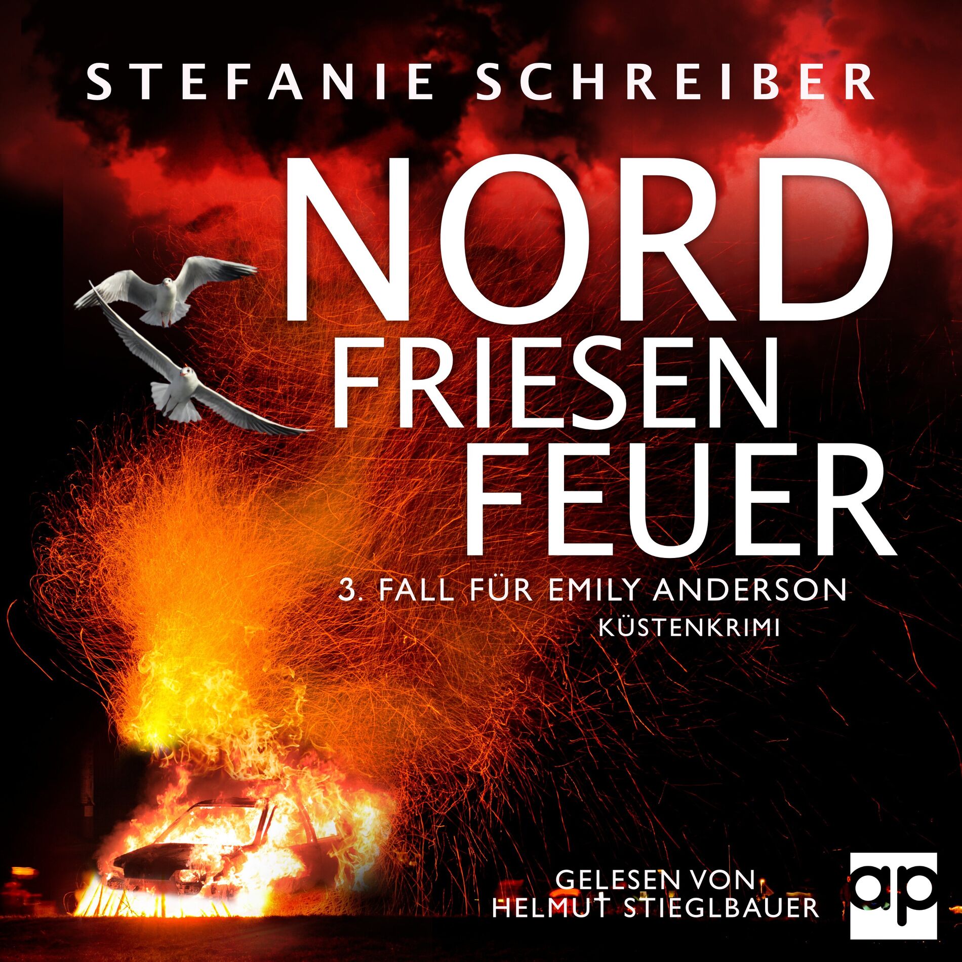 Album cover of Nordfriesenfeuer (3. Fall für Emily Anderson)