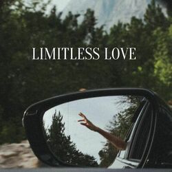 Cover of Limitless Love