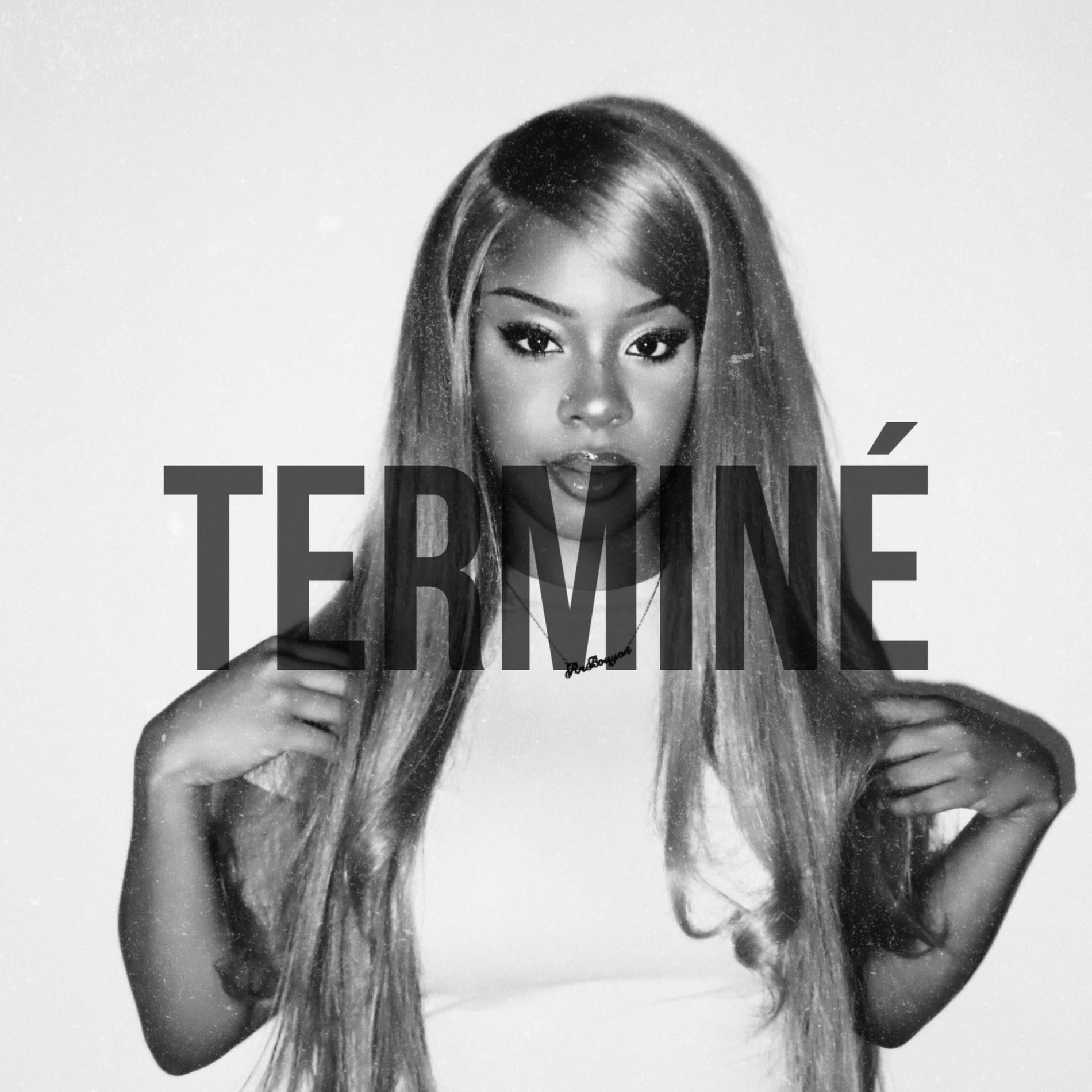 Album cover of Terminé