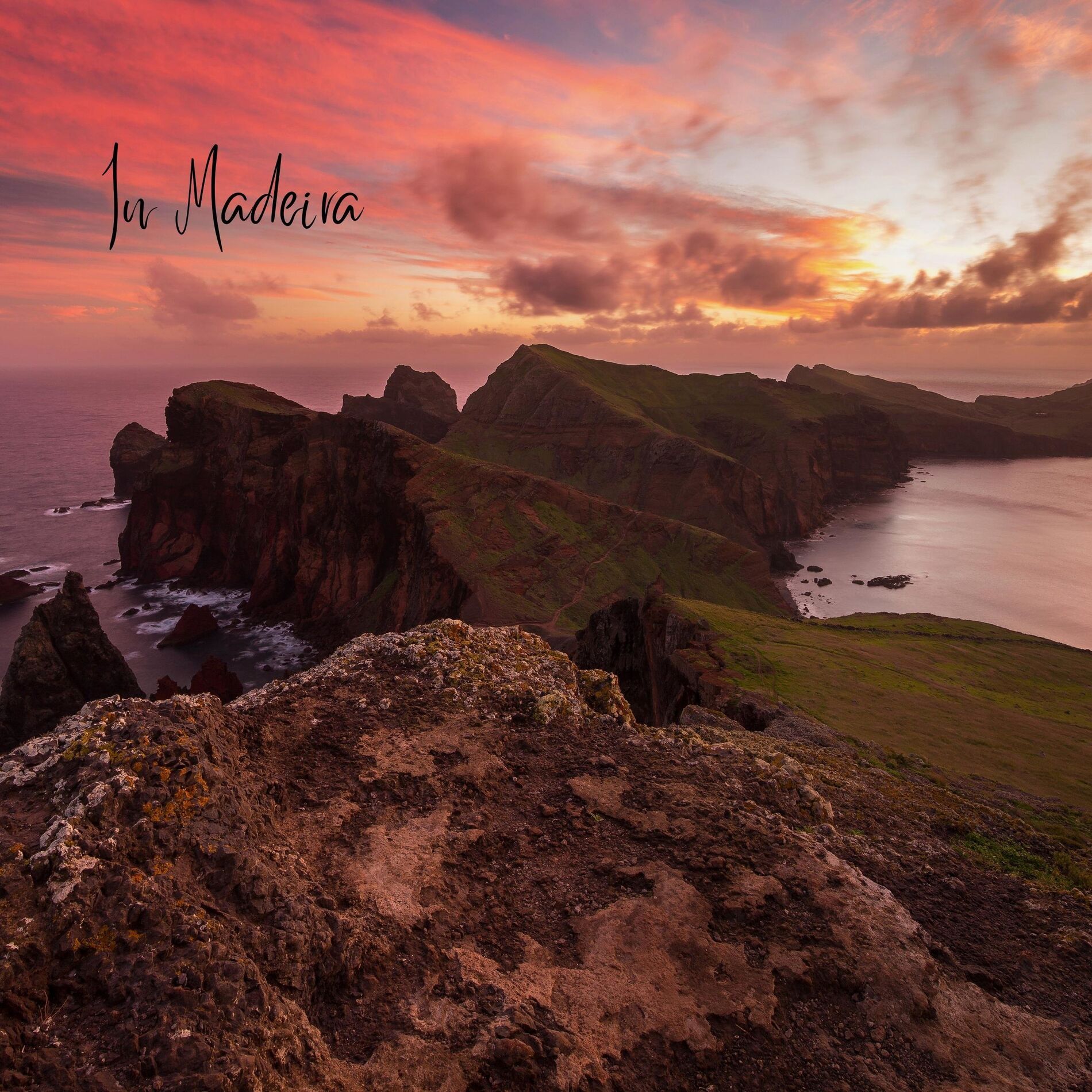 Album cover of In Madeira