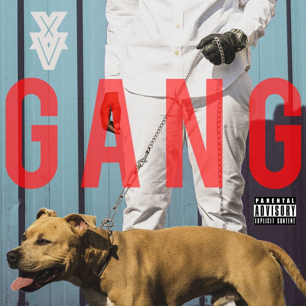 Picture of Gang