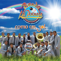 Cover of Como Un Sol