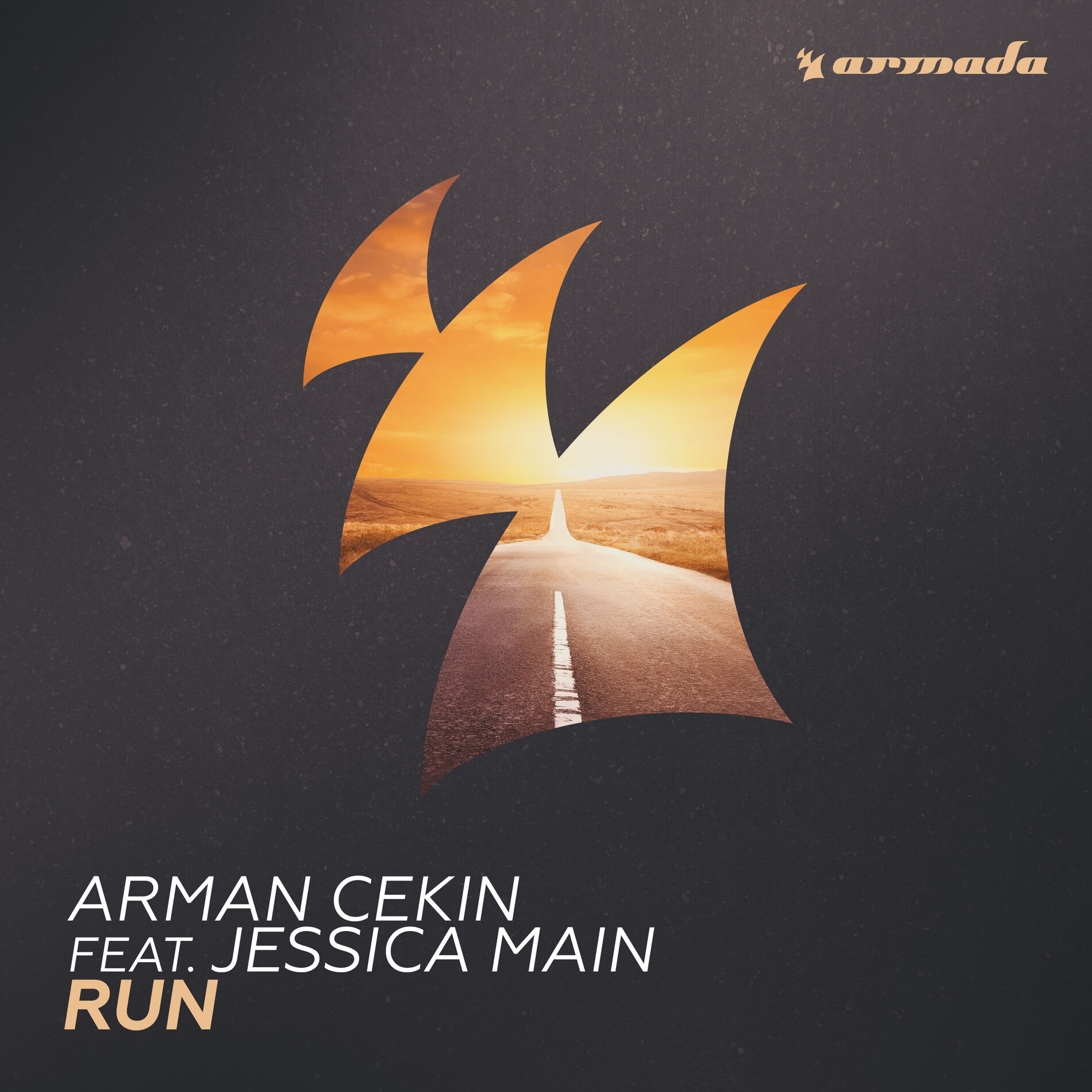 Album cover of Run