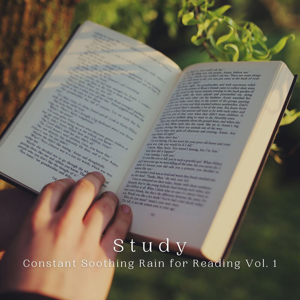Picture of Study: Constant Soothing Rain for Reading Vol. 1