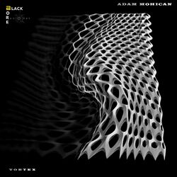 Cover of Vortex