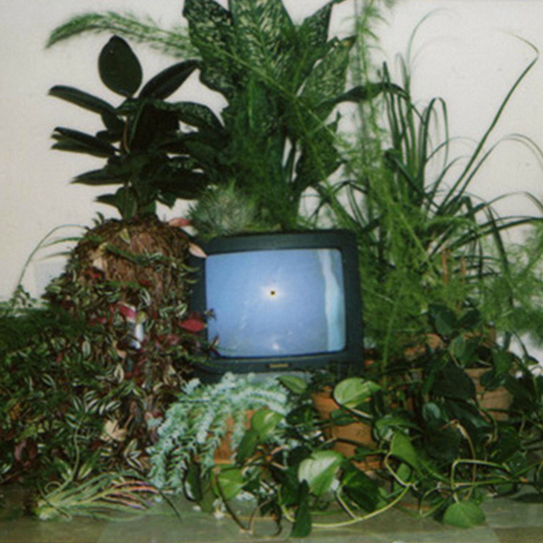 Album cover of Idmatic Revisited