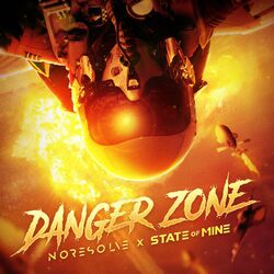 Cover of Danger Zone