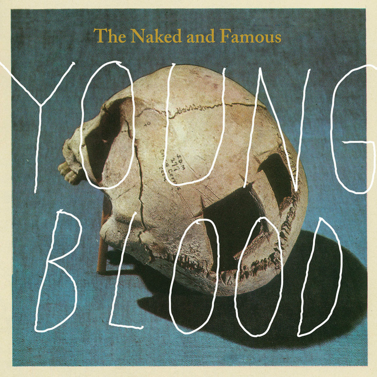 Album cover of Young Blood