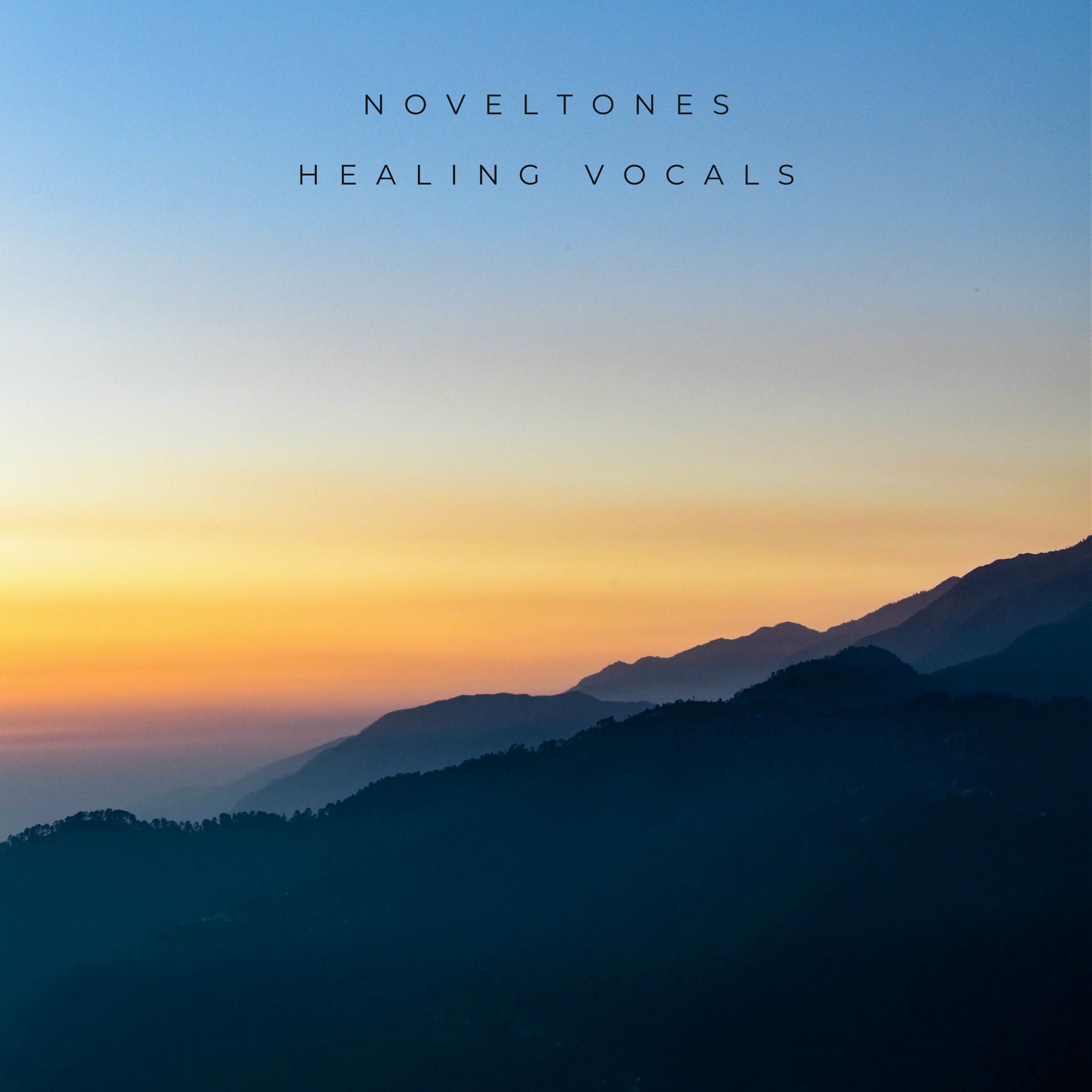 Album cover of Healing Vocals