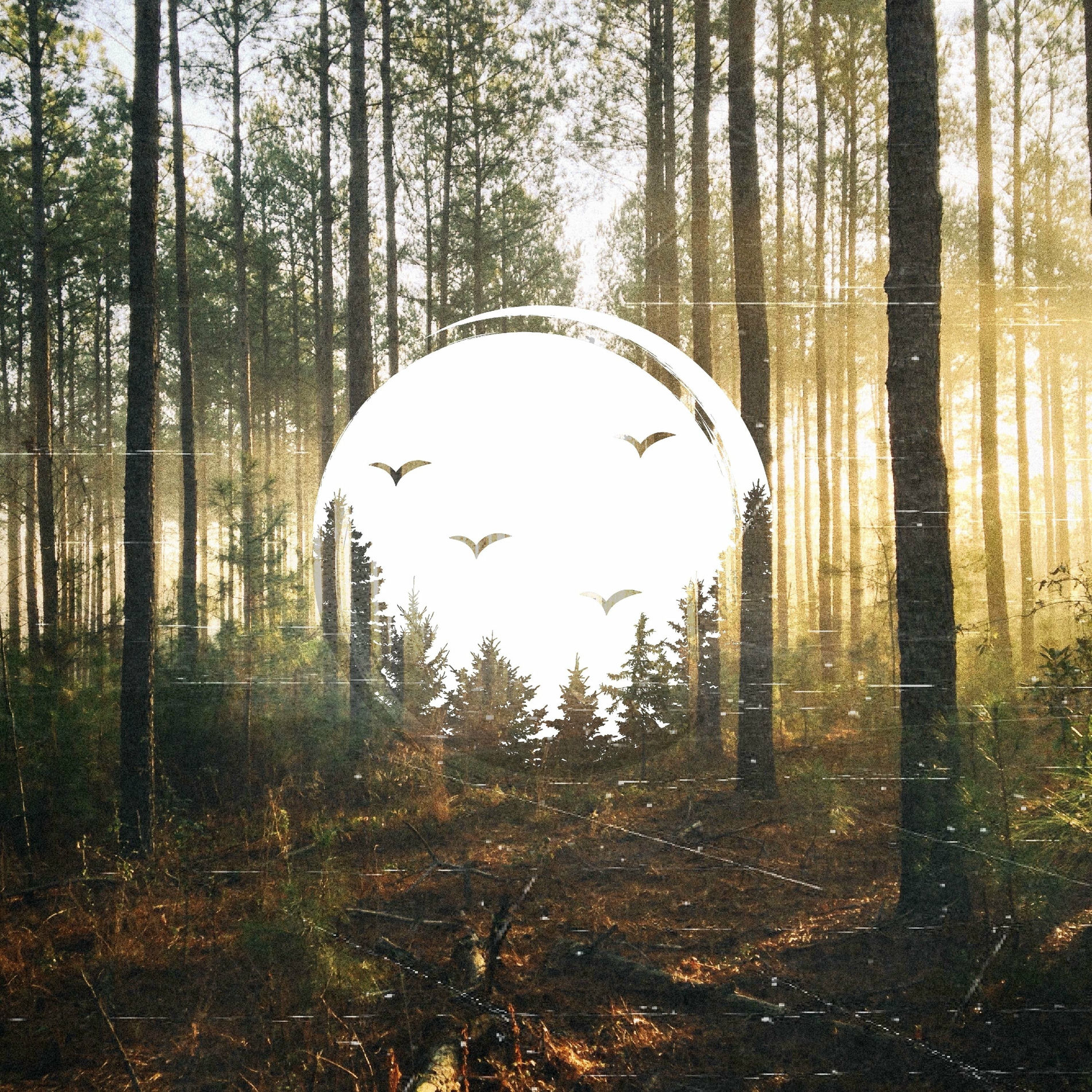 Album cover of Echoes in the Valley, Vol. 1