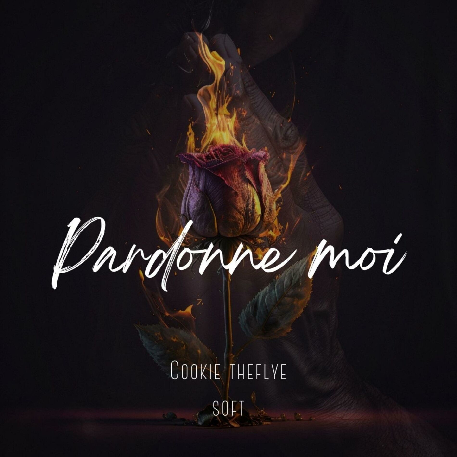 Album cover of Pardonne Moi